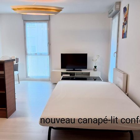 Ravissant Appartement T2 Proche Autoroute Et Centre-Ville Виллефранче-Сур-Салне Экстерьер фото